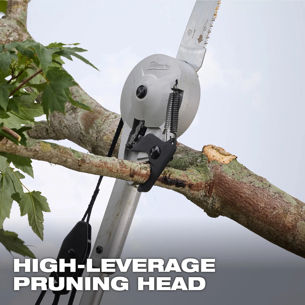 Milwaukee 16' Pole Saw & Pruner | 48-22-9375