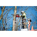 M18 FUEL™ 16" Chainsaw (Tool-Only)