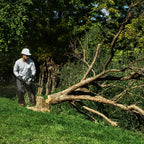 Commercial 20" Chain Saw