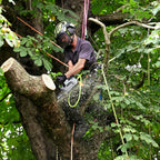 Commercial Top-Handle Chainsaw