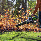 615 CFM Variable-Speed 56-Volt Lithium-ion Cordless Leaf Blower