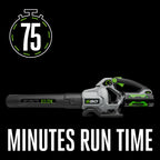 EGO Power+ 15" POWERLOAD™ String Trimmer with Aluminum Telescopic Shaft & 615 CFM Blower Combo