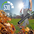Blower 110 MPH 530 CFM Variable Speed with 2.5AH Battery and Charger