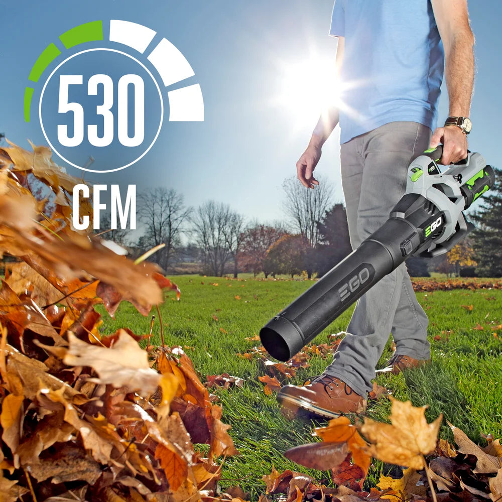 Blower 110 MPH 530 CFM Variable Speed with 2.5AH Battery and Charger