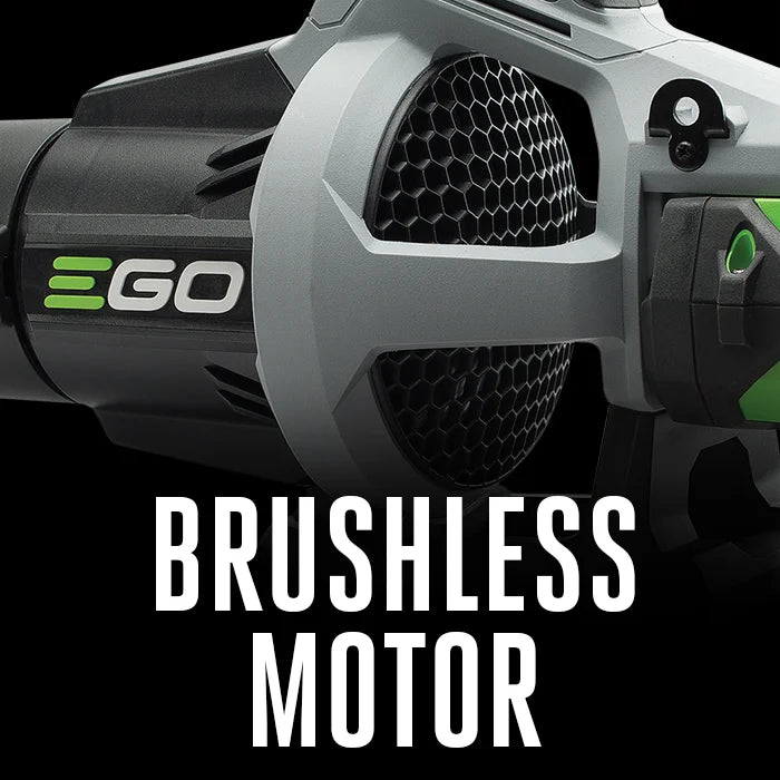 Blower 110 MPH 530 CFM Variable Speed with 2.5AH Battery and Charger