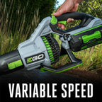 765CFM Handheld Blower