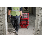 PACKOUT™ Tilt Bin Organizer