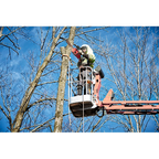 M18 FUEL™ 16" Chainsaw (Tool-Only)
