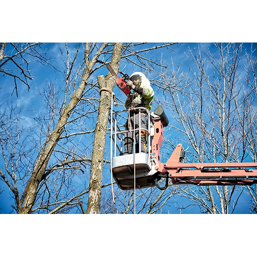 M18 FUEL™ 16" Chainsaw (Tool-Only)