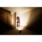 Milwaukee M18 ROVER Flood Light (Tool Only) | 2361-20