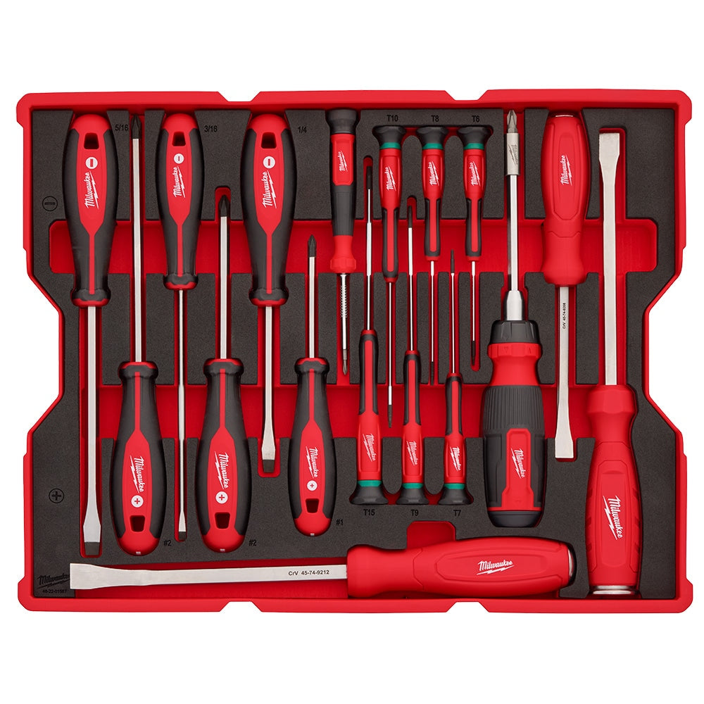 17pc. Screwdriver & Pry Bar Set with Tray for PACKOUT™ Drawers