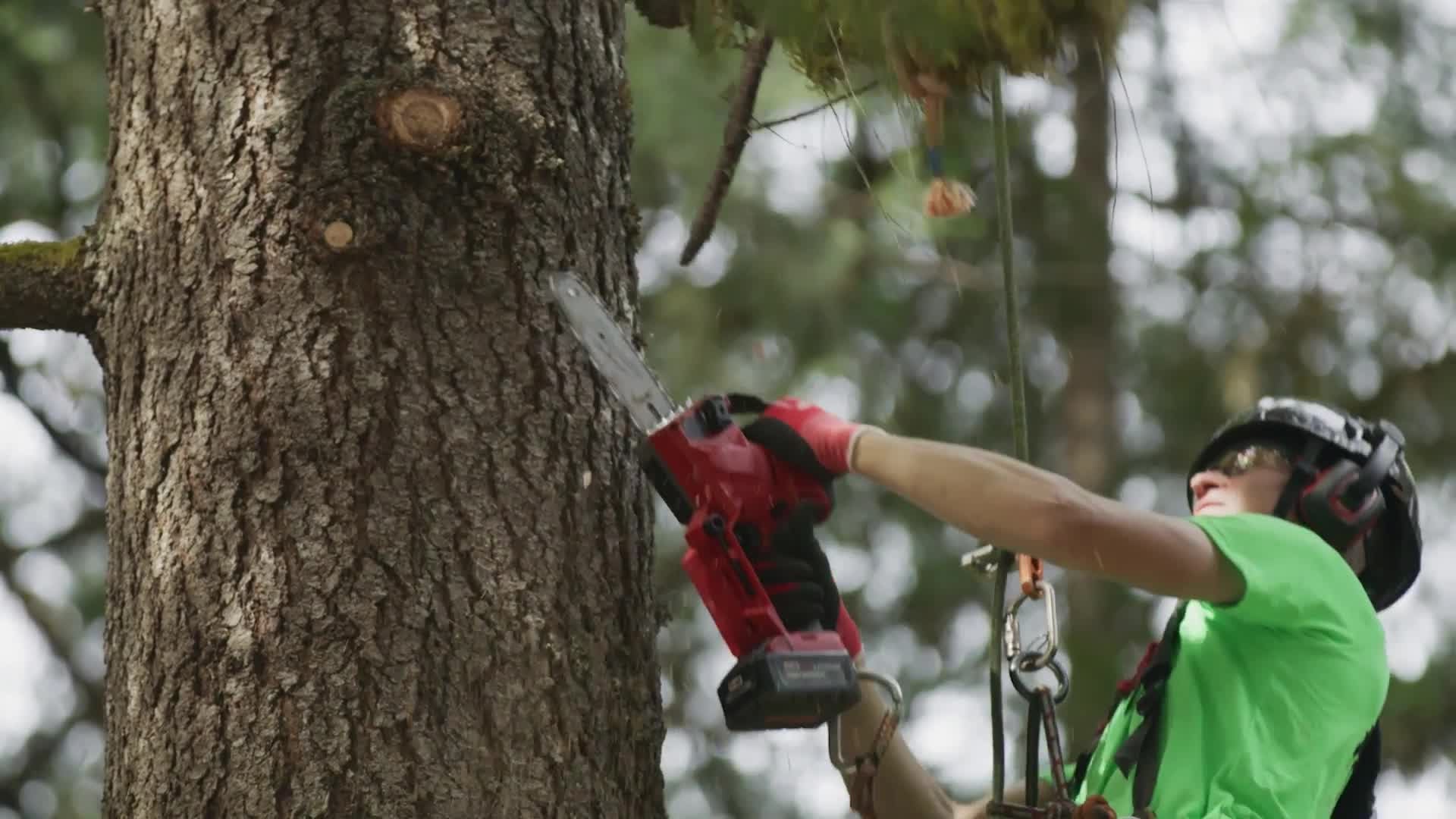 Milwaukee® M18 FUEL™ HATCHET™ 8'' Pruning Saw