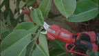 Milwaukee M12 Brushless Pruning Shears – Configuration Options